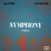 Symphony – Instrumental-0